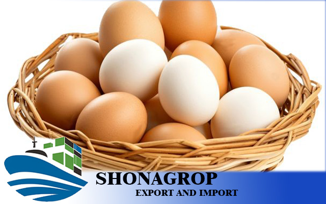 استيراد البيض من تركيا