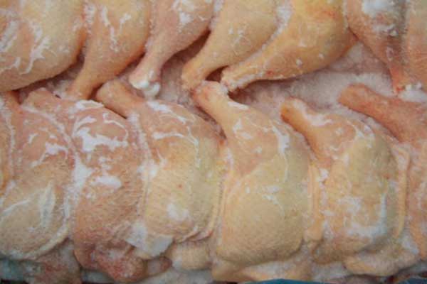 استيراد الدجاج المجمد من تركيا :دليل شامل لفرصة تجارية مربحة