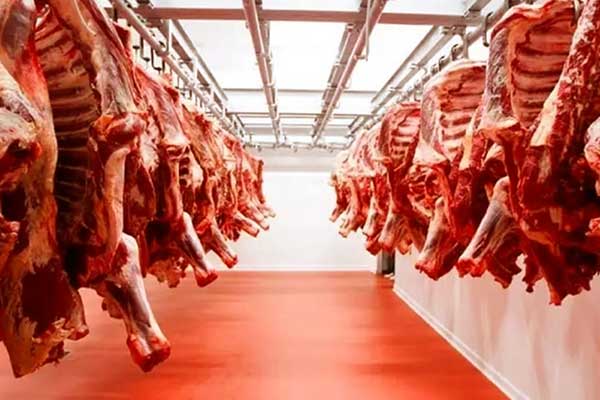 استيراد اللحوم من تركيا