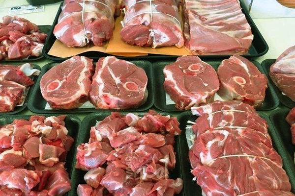 استيراد اللحوم: دليل شامل لعام 2024 🥩📦